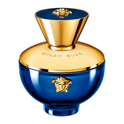 VERSACE    DYLAN BLUE FE EDP  100ML