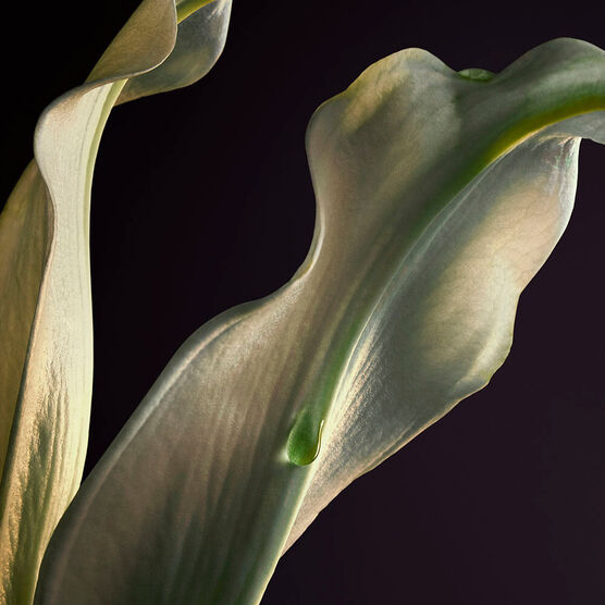 Olympea RE24 Rabanne Olymp�a Parfum 30ml