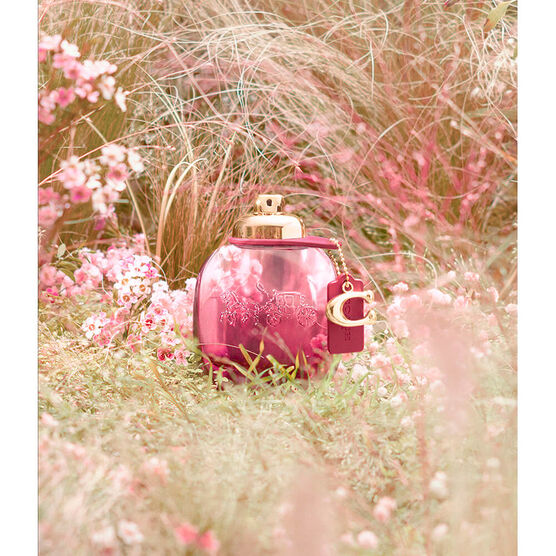 wild rose for woman edp