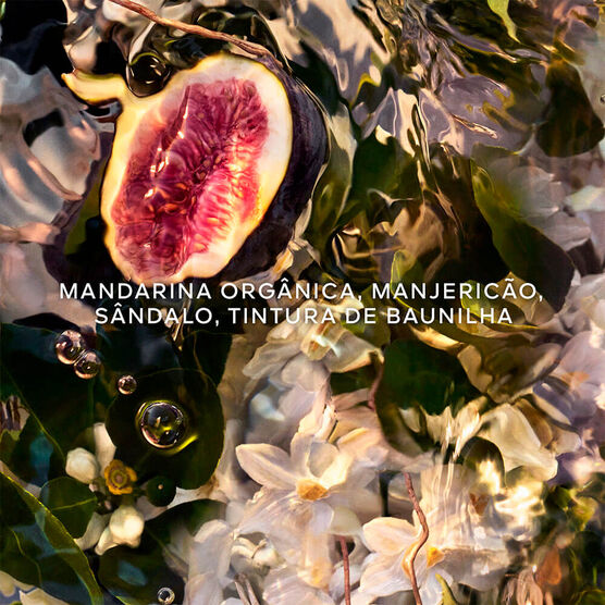 Aqua Allegoria Nerolia Vetiver Forte EDP