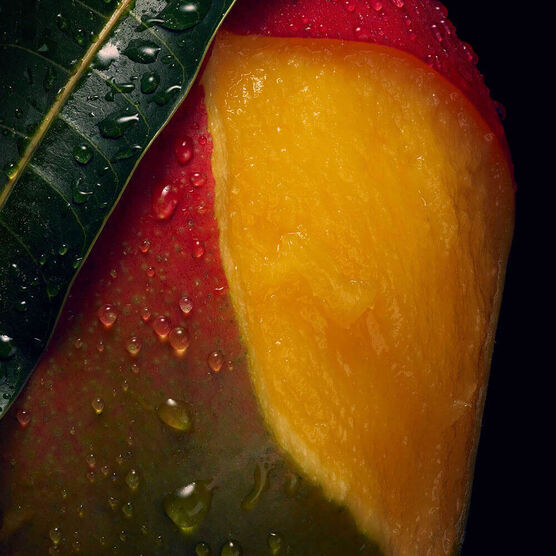 Gel Estilizador Aveda Nutriplenish Curl Gel&eacute;e