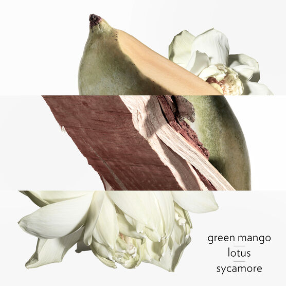 HERMES     JARDIN SUR LE EDTV 30ML