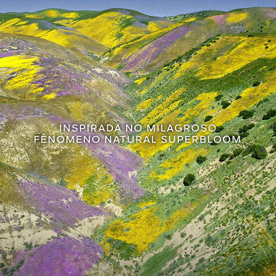 AQUA ALLEGORIA FLORABLOOM EDT