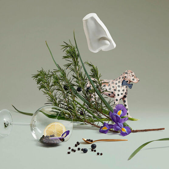 Perfume Penhaligons Juniper Sling Unissex Eau de Toilette