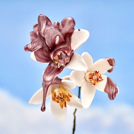 Kit Coffret Carolina Herrera 212 Heroes for Her Feminino Eau de Parfum