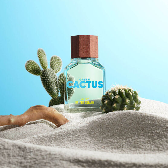 Green Him  United Dreams Masculuno Cactus LE EDT 100ML
