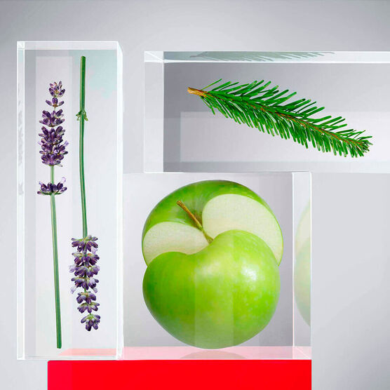 BOSS       HUGO HOMME    EDTV  40ML