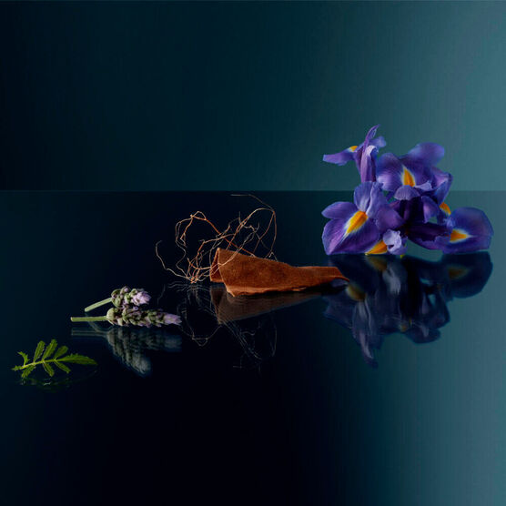 Perfume Benetton We Are Tribe Intense Masculino Eau de Parfum