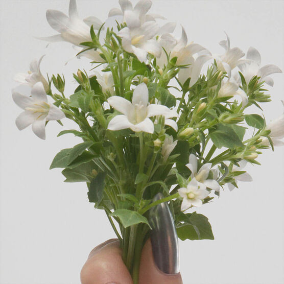 MJ PERFECT EDT EDT 100ml