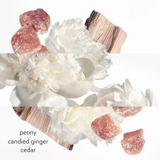 HERMS61 TWILLY EAU GINGER EDP 50ML