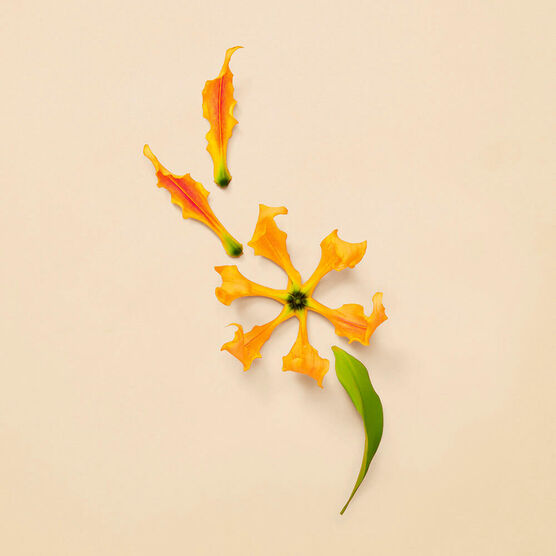 GUILTY FOR WOMAN INTENSE EDP 50ML