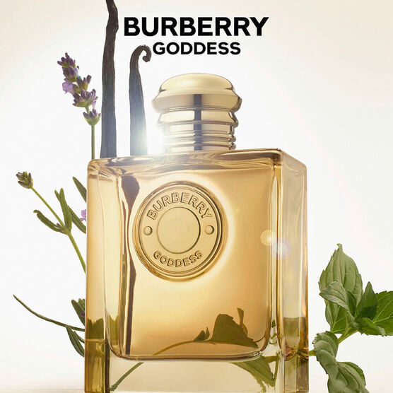 Perfume Buberry Goddess Intense Feminino Eau de Parfum