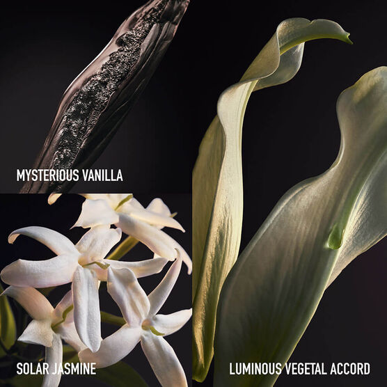 Olympea RE24 Rabanne Olymp�a Parfum 30ml