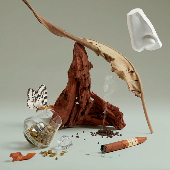 Perfume Penhaligons The Blazing Mister Sam Masculino Eau de Parfum