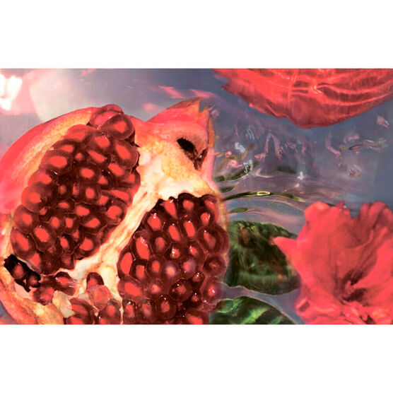 Refil Perfume Guerlain Aqua Allegoria Granada Salvia Feminino Eau de Toilette