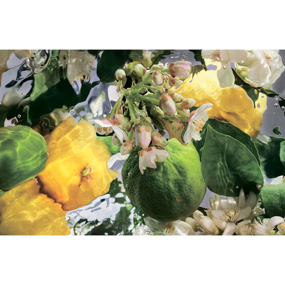 Refil Perfume Guerlain Aqua Allegoria Bergamote Calabria Feminino Eau de Toilette