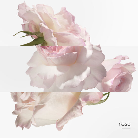 HERMES     TWILLY        EDP  30ML