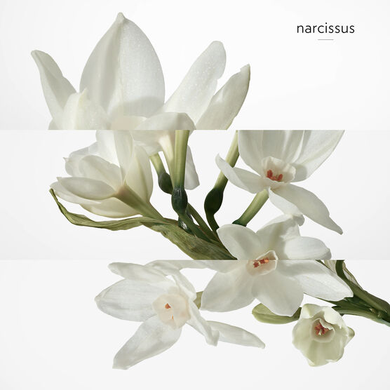 HERMES     H24           EDT  50ML