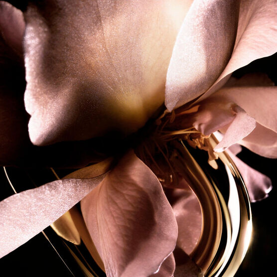 Perfume Rabanne Million Gold For Her Feminino Eau de Parfum