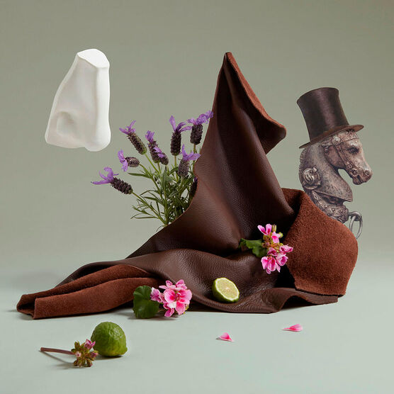 Perfume Penhaligons Endymion Concentre Unissex Eau de Parfum