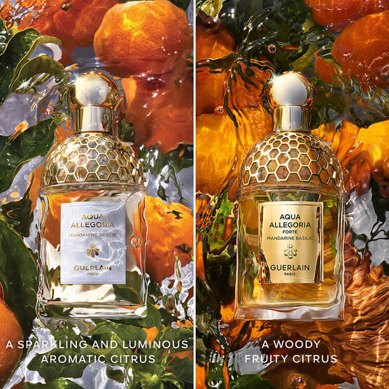 Perfume Guerlain Aqua Allegoria Mandarine Basilic Forte Feminino Eau de Parfum