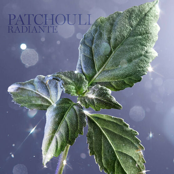 Perfume Lanc&ocirc;me La Vie Est Belle Feminino Eau de Parfum