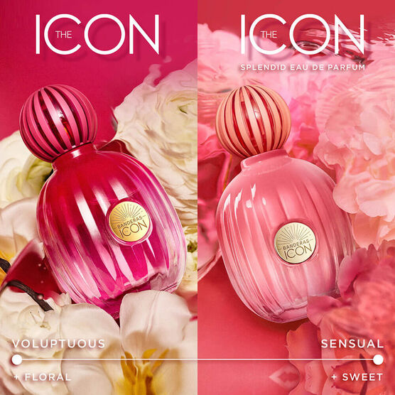 Perfume Banderas The Icon Splendid for Women Feminino Eau de Parfum