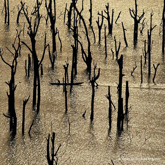 Refil Aqua Allegoria Rosa Rossa EDP Forte Feminino