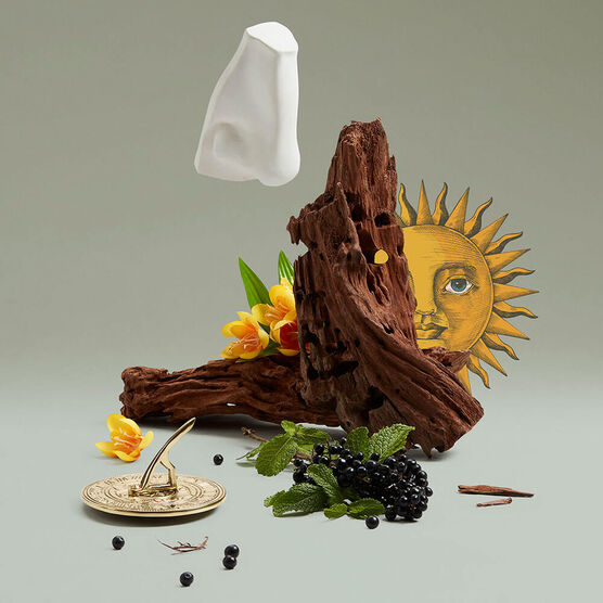 Perfume Penhaligon's Solaris Unissex Eau De Parfum