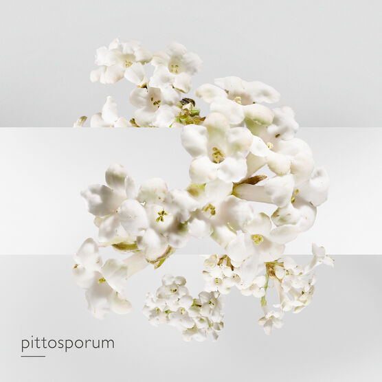 HERMES     JARDIN SUR LA EDT  30ML