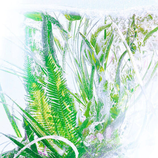 RIVIERES LUXURIANCE EDT 100ML