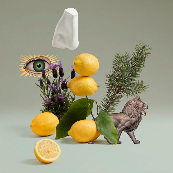 Perfume Penhaligons Blenheim Bouquet Unissex Eau de Toilette