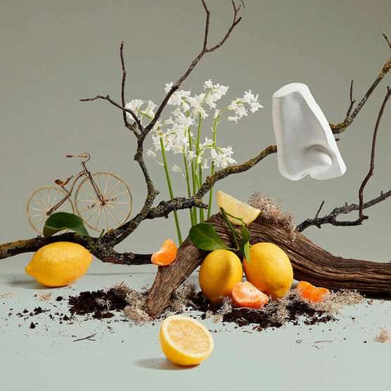 Perfume Penhaligons Quercus Unissex Eau de Cologne