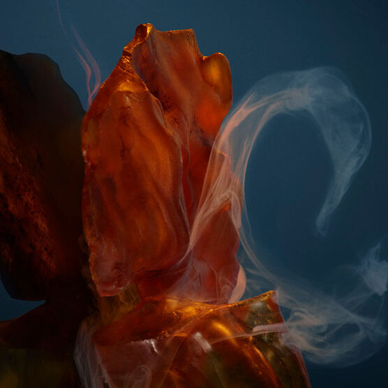 FAME REFILLABLE 30ML