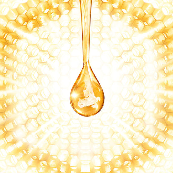 ABEILLE ROYALE MOISTURIZER