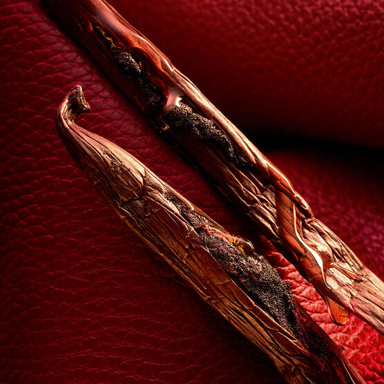 Perfume Guerlain Habit Rouge Masculino Parfum