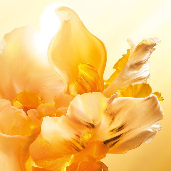 DIOR       DIOR J'ADORE  EDP  20ML