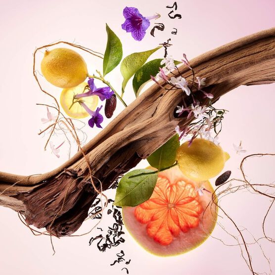 FIND COMFORT MINI LOTION & FRAGRANCE SET