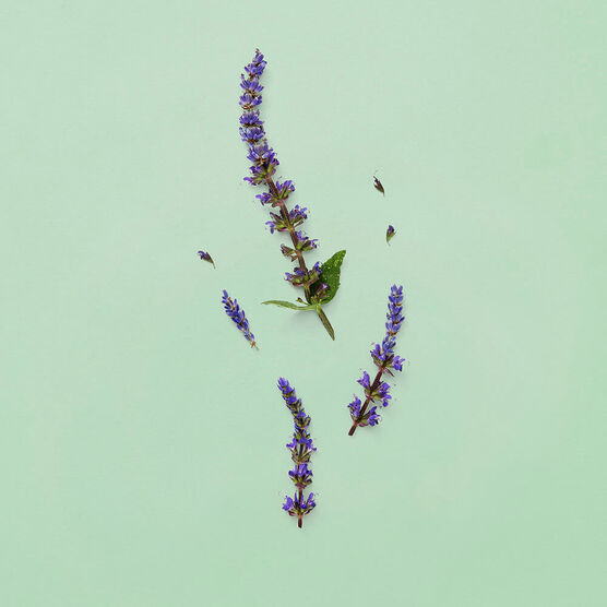 GUCCI GUILTY  POUR HOMME  PARFUM EDP 50ml