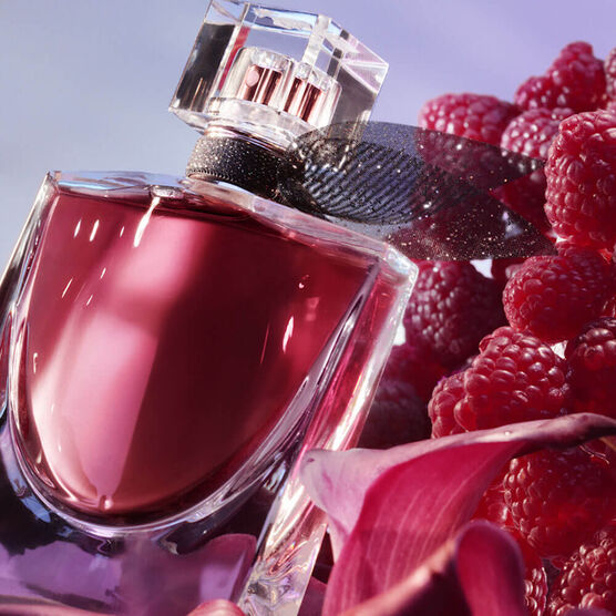Perfume Lanc&ocirc;me La Vie Est Belle Elixir Feminino Eau De Parfum
