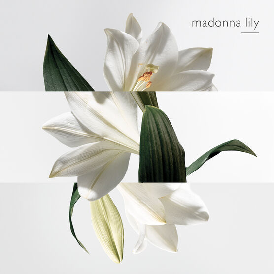 HERMES     JARDIN SUR LA EDT  30ML