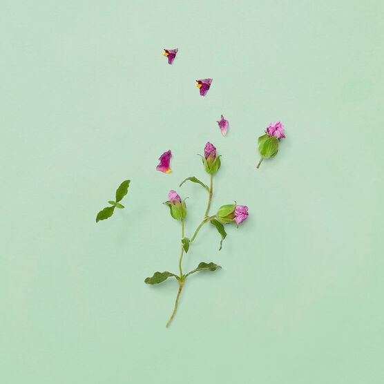 GUCCI GUILTY  POUR HOMME  PARFUM EDP 50ml