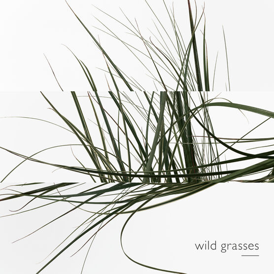 HERMES     JARDIN SUR LE EDTV 30ML