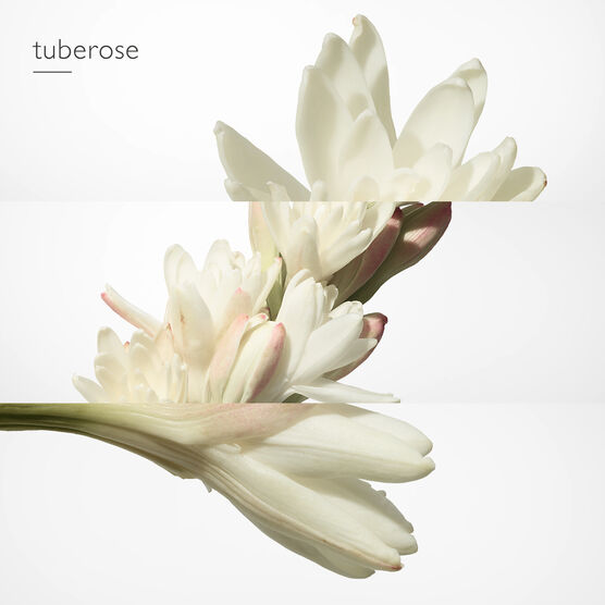 HERMES     TWILLY        EDP  30ML