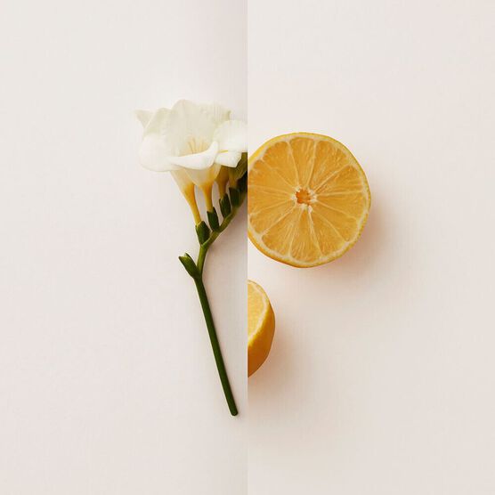 BURBERRY   MY BURBERRY   EDP  90ML