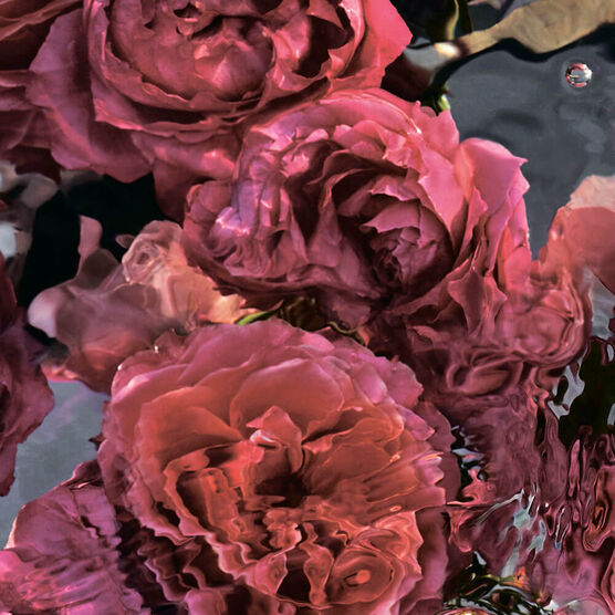 Perfume Guerlain Aqua Allegoria Rosa Rossa Forte Feminino Eau de Parfum