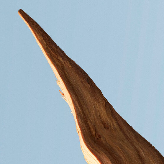 BOSS       BOSS BOTT TON EDTV 100ML