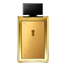 THE SECRET ABSOLU  EDP 100 ML