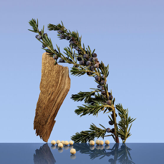 C.KLEIN    CK BE         EDT  200ML