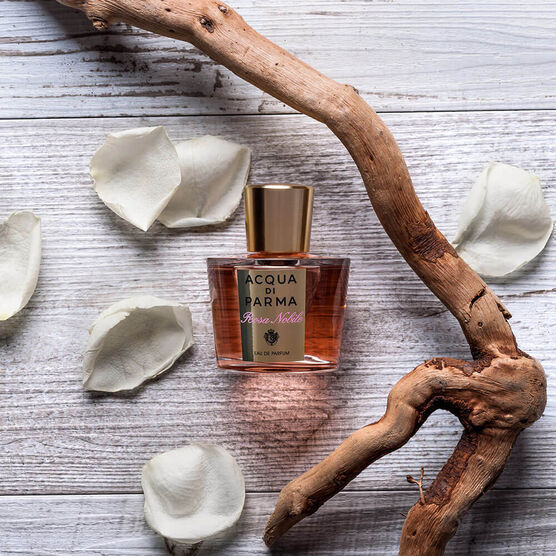 A.DI PARMA 1             EDP  100ML